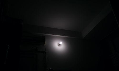 象征光明和黑暗并存的花（探寻花朵内涵中的二元对立）