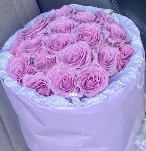 寓意深刻的紫色玫瑰（探究紫色玫瑰的象征意义及文化背景）