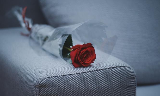 红玫瑰的寓意与象征（探究一支红玫瑰所代表的情感和意义）