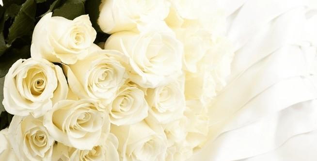 白玫瑰花语的象征意义（婚礼、悼念和纯洁之花，白色的传说）