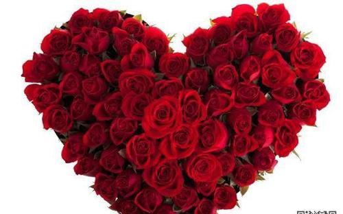 红玫瑰的花语与寓意（探究鲜花中的爱情符号，解析红玫瑰的深意）