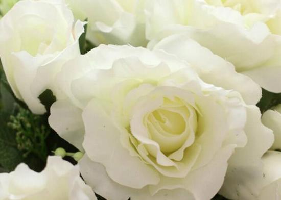 白玫瑰花语的深层含义（白玫瑰的真正意义，是在其中等待我们发现的）