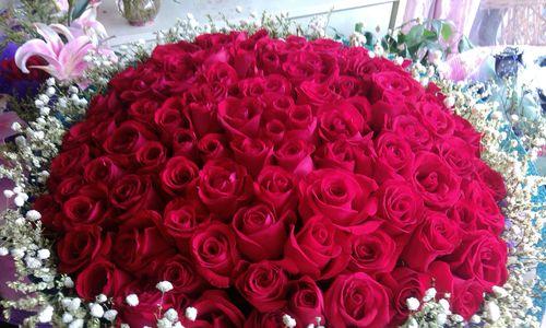 19朵红玫瑰花语（赠与情人最佳礼物，表达浓浓爱意）