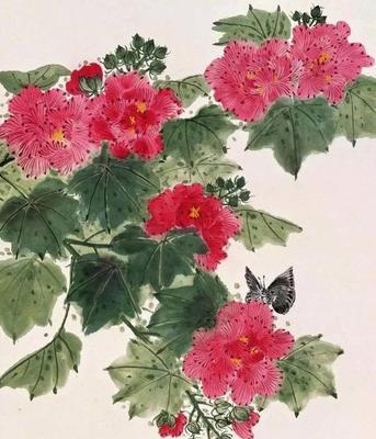 芙蓉花的寓意（华丽、坚强、纯洁）
