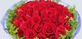 20朵红玫瑰所代表的花语-浪漫之爱（用20朵红玫瑰传递爱情的深情表达）