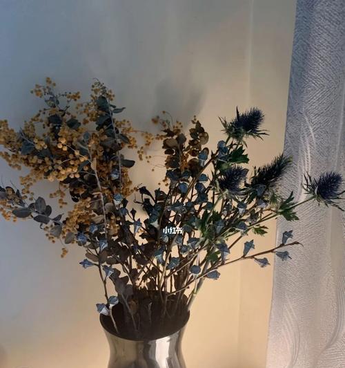 尤加利的花语与寓意（探索尤加利花所传递的情感与意义）