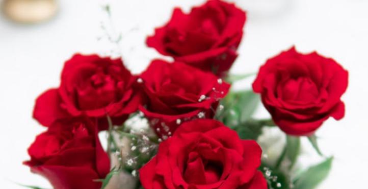 12朵红玫瑰代表什么花语？（揭开红玫瑰的深层寓意）