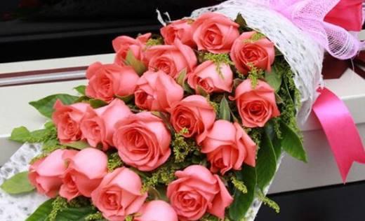 24朵玫瑰花语代表什么意思？（传递爱情与浪漫的24朵玫瑰花束）