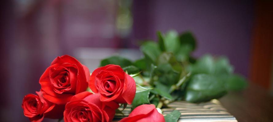 33朵玫瑰花语的深意（探秘33朵玫瑰所代表的浪漫和情感）