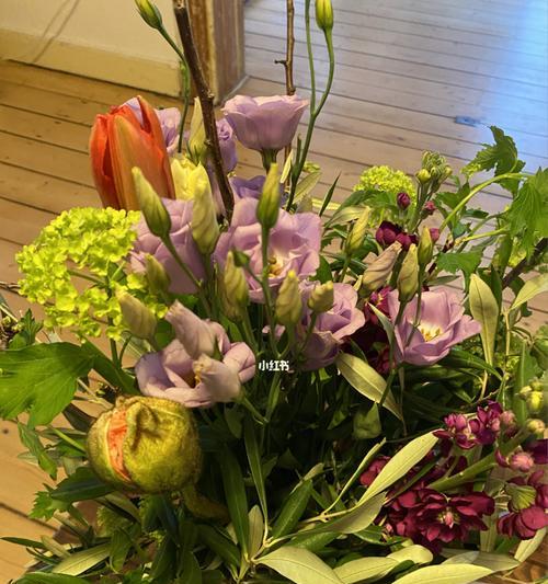 乐观的花（一缕阳光的花语）