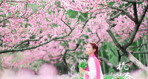 桃花花语探析（桃花花语的深层含义及其传承）