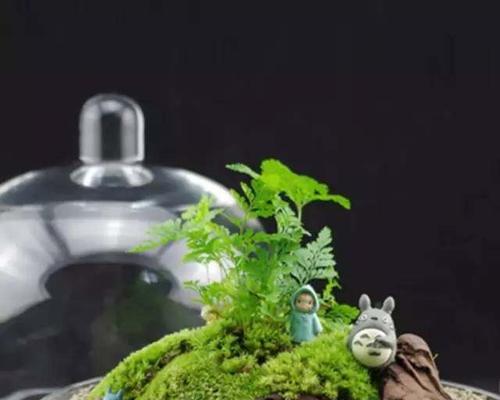 苔藓盆景的养护方法（打造自然、清新的小天地）