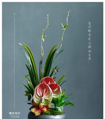 植物禅意（以自然为师，寻求内心平衡与宁静，释放繁忙生活的压力）