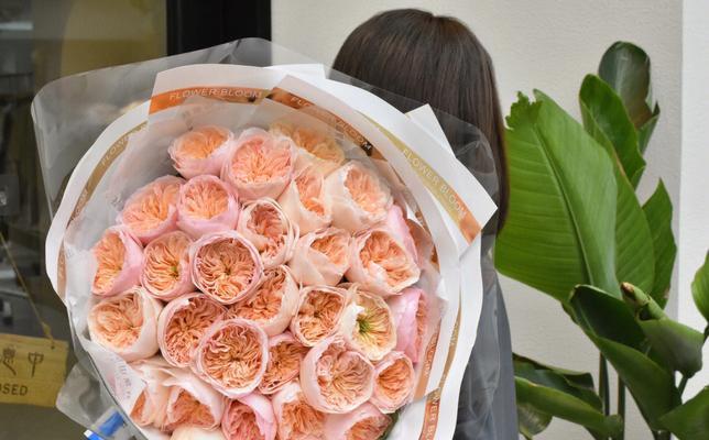 朱丽叶玫瑰花语的深意（探寻朱丽叶玫瑰花语的浪漫之美）