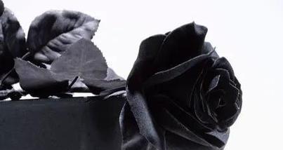 黑色玫瑰的花语（黑色玫瑰的意义）