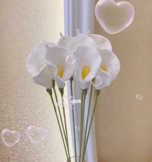 白色马蹄莲花的花语与寓意（纯洁无瑕的象征）