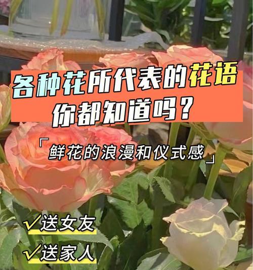 花语代表诚实的花——展现真诚与坦率的美丽（以花语传递真诚之美）