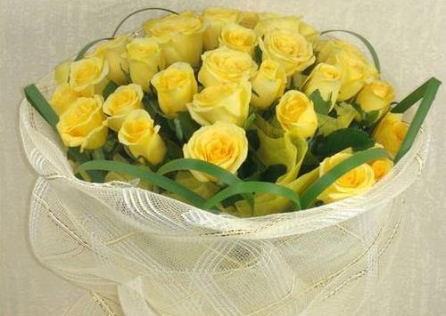 黄玫瑰的象征意义与文化背景（揭示黄玫瑰送礼的秘密与含义）