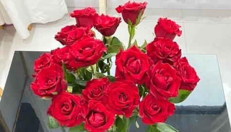 玫瑰花的含义及赠送几朵玫瑰花的心意（探索玫瑰花象征的深刻意义及不同朵数所代表的情感）