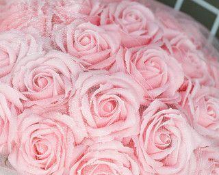 浪漫粉色玫瑰的意义与传承（以送女生粉色玫瑰代表什么）