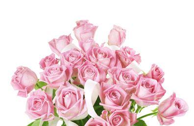 浪漫粉色玫瑰的意义与传承（以送女生粉色玫瑰代表什么）