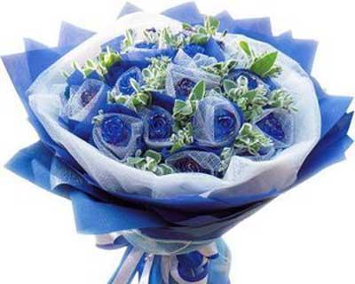 蓝玫瑰的意义及象征（一支蓝玫瑰带来的深刻寓意）