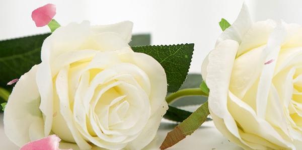 白玫瑰的花语是什么（白玫瑰的寓意和象征）