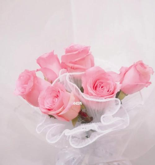 淡粉色玫瑰（探寻淡粉色玫瑰的花语与意义）