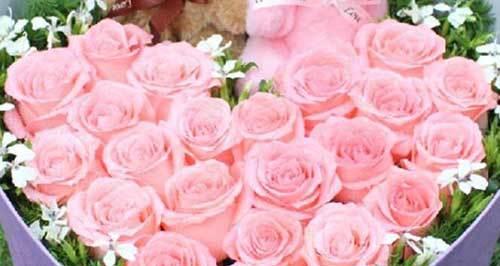 粉玫瑰（探索粉玫瑰的浪漫含义与文化意义）