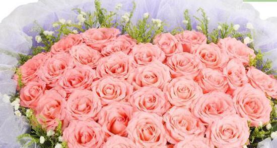 粉玫瑰（探索粉玫瑰的浪漫含义与文化意义）