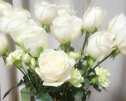 二十一朵白玫瑰的花语（用花语传递爱的誓言）