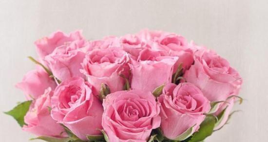 粉色玫瑰的代表意义——爱与温柔（浪漫的爱情使者）