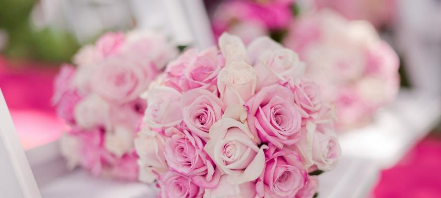 粉色玫瑰花的意义与象征（探寻玫瑰花的粉色魅力）