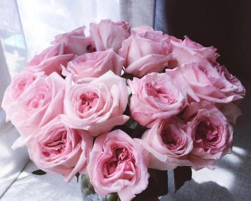 粉色玫瑰（探寻粉色玫瑰的花语与寓意）