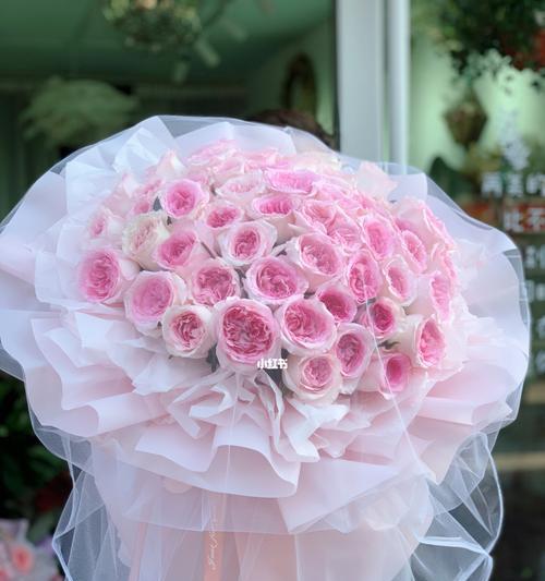 粉色玫瑰花的寓意与象征（探索粉色玫瑰花的浪漫与柔美）
