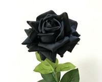 黑玫瑰的花语和寓意（探索黑玫瑰的神秘之美）