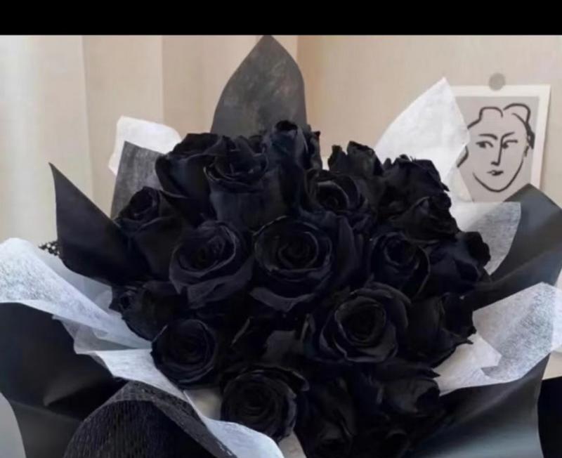 黑玫瑰花语（探寻黑玫瑰的意义和美丽）