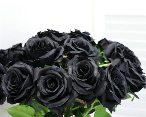 黑色玫瑰（黑色玫瑰的神秘力量与情感表达）