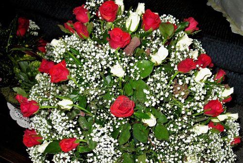 红玫瑰与白玫瑰（红玫瑰与白玫瑰的深层含义及象征意义）