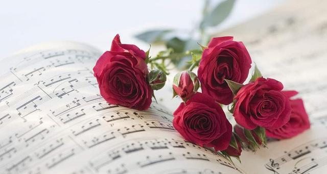 红玫瑰的含义与象征——爱的力量（揭示红玫瑰的浪漫传说和深刻内涵）