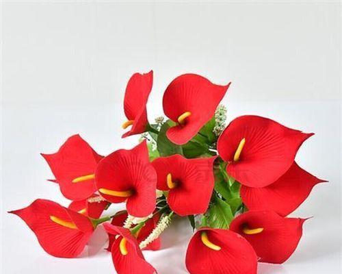 红色马蹄莲的美丽与寓意（以红色马蹄莲为代表的花卉之美与象征）