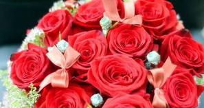 红色玫瑰的花语与寓意（爱情的象征）