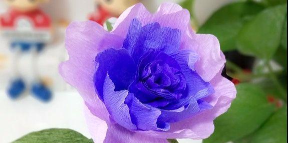 紫色牡丹花语的魅力（探索紫色牡丹花语的深刻含义）