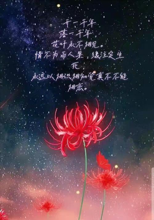 花语大揭秘——每朵花都有一个故事（深入了解花语的意义和象征）