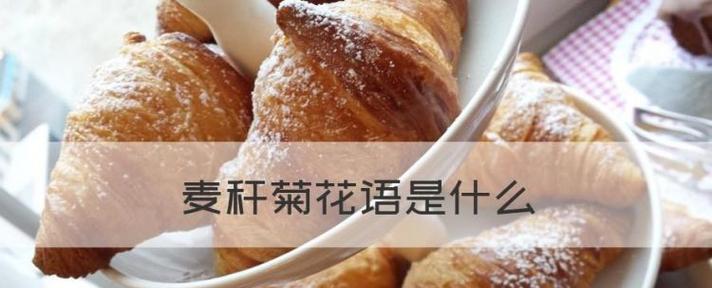 麦秆菊的花语与意义（探寻麦秆菊的隐含花语）