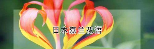 日本早樱花语与寓意的探究（探寻早樱之美）