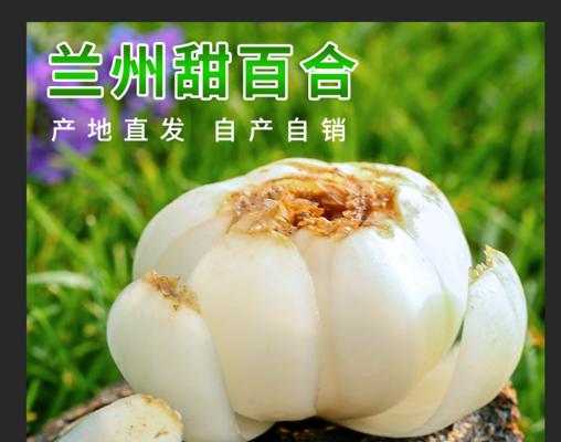 百合，中国特产的花之王（从文化到食用）