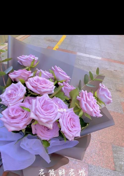 海洋之歌玫瑰花语（玫瑰花在海洋中的神秘绽放）