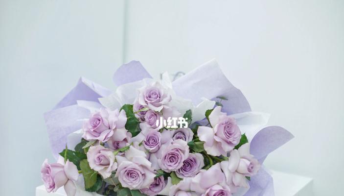 海洋之歌玫瑰花语（玫瑰花在海洋中的神秘绽放）