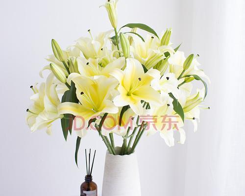 黄天霸百合花语（花朵的秘语与心灵的呼唤）